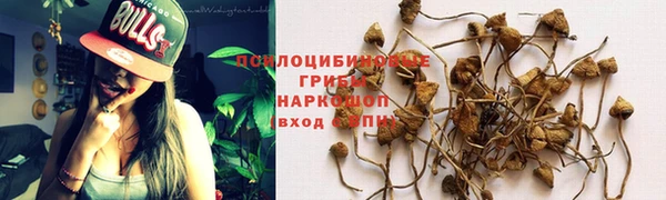 прущая мука Алзамай