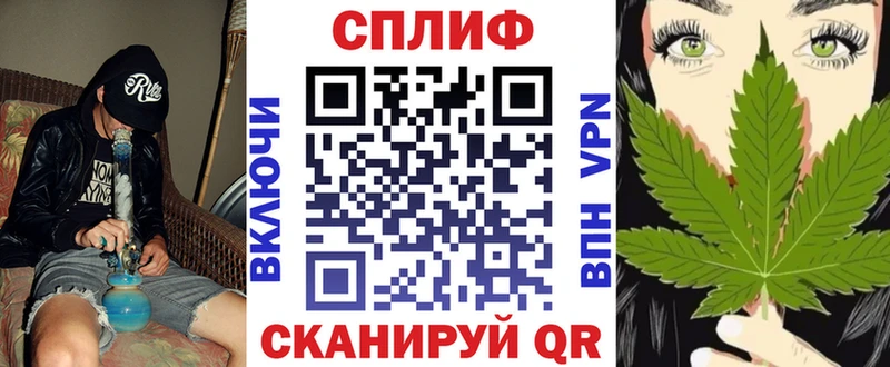 магазин    Арск  Марихуана сатива 